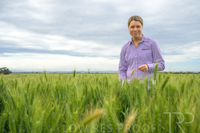 October 2022 / KANGAROO-FLAT-0722