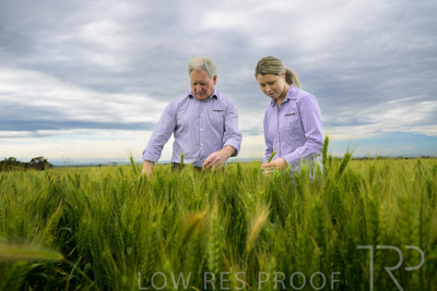 October 2022 / KANGAROO-FLAT-0723