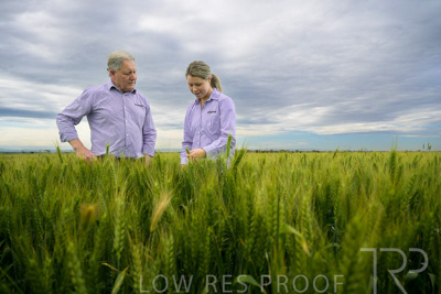 October 2022 / KANGAROO-FLAT-0724