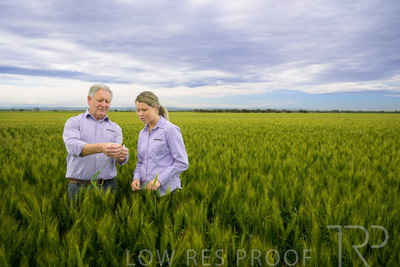 October 2022 / KANGAROO-FLAT-0729