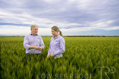 October 2022 / KANGAROO-FLAT-0732