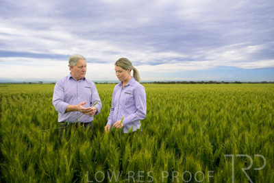 October 2022 / KANGAROO-FLAT-0733