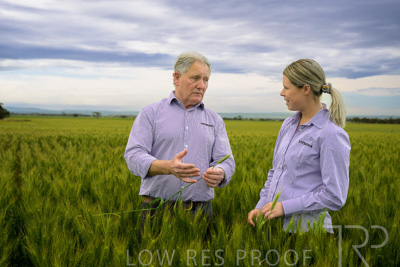 October 2022 / KANGAROO-FLAT-0740