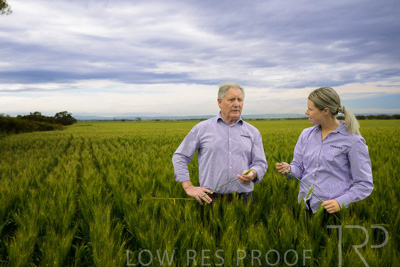 October 2022 / KANGAROO-FLAT-0742