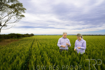 October 2022 / KANGAROO-FLAT-0744