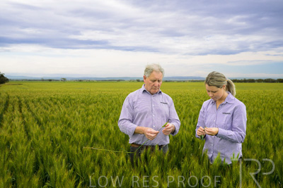 October 2022 / KANGAROO-FLAT-0745