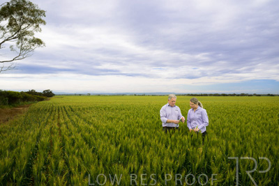 October 2022 / KANGAROO-FLAT-0747