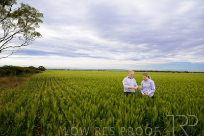 October 2022 / KANGAROO-FLAT-0748