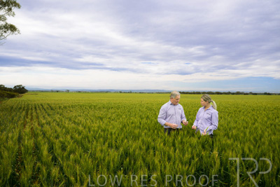 October 2022 / KANGAROO-FLAT-0751