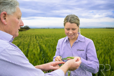 October 2022 / KANGAROO-FLAT-0760