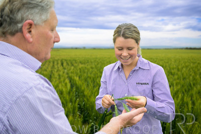 October 2022 / KANGAROO-FLAT-0763