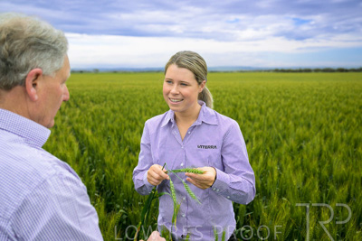 October 2022 / KANGAROO-FLAT-0769