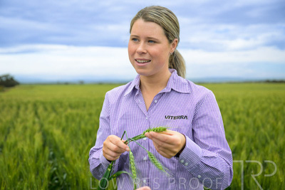 October 2022 / KANGAROO-FLAT-0775