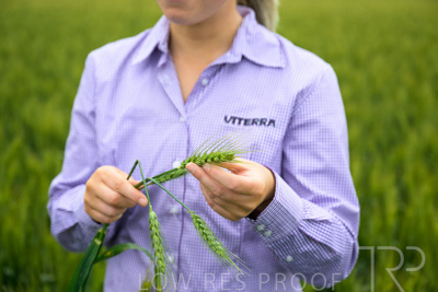 October 2022 / KANGAROO-FLAT-0777