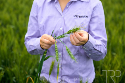 October 2022 / KANGAROO-FLAT-0781