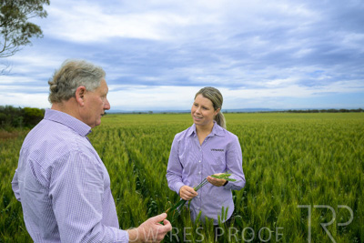 October 2022 / KANGAROO-FLAT-0788