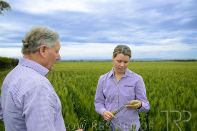 October 2022 / KANGAROO-FLAT-0789