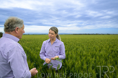 October 2022 / KANGAROO-FLAT-0791