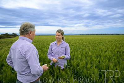 October 2022 / KANGAROO-FLAT-0797