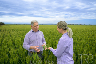 October 2022 / KANGAROO-FLAT-0799