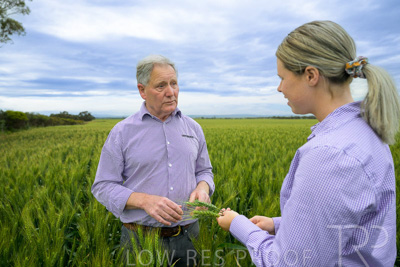 October 2022 / KANGAROO-FLAT-0801