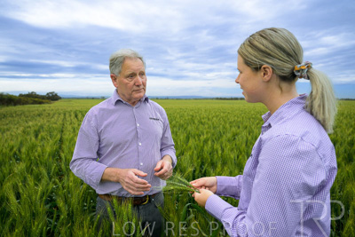 October 2022 / KANGAROO-FLAT-0804