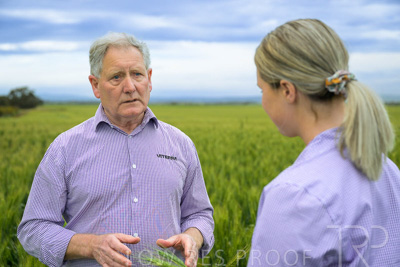 October 2022 / KANGAROO-FLAT-0806