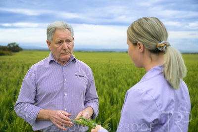 October 2022 / KANGAROO-FLAT-0808