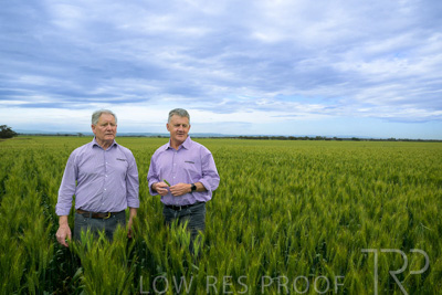 October 2022 / KANGAROO-FLAT-0814