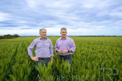 October 2022 / KANGAROO-FLAT-0815