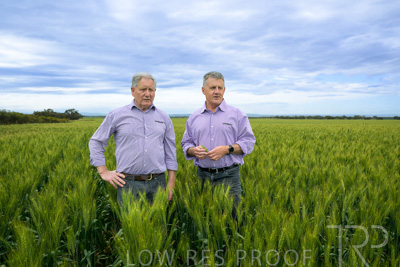 October 2022 / KANGAROO-FLAT-0816