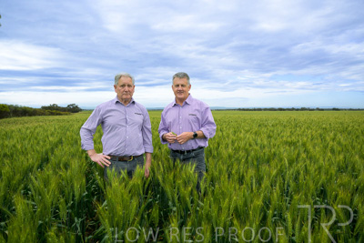 October 2022 / KANGAROO-FLAT-0818