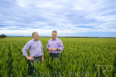 October 2022 / KANGAROO-FLAT-0820