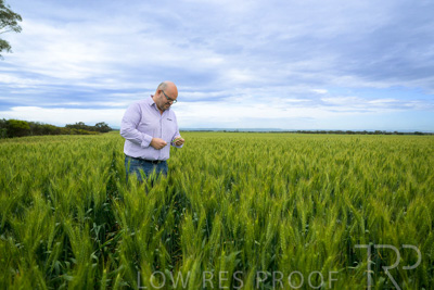 October 2022 / KANGAROO-FLAT-0831