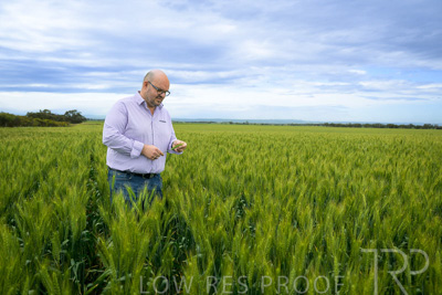 October 2022 / KANGAROO-FLAT-0837