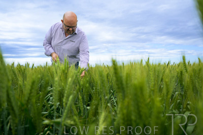 October 2022 / KANGAROO-FLAT-0848