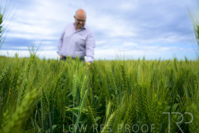 October 2022 / KANGAROO-FLAT-0858