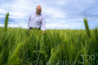 October 2022 / KANGAROO-FLAT-0859