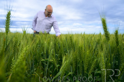 October 2022 / KANGAROO-FLAT-0860