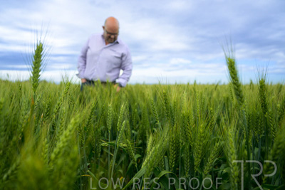 October 2022 / KANGAROO-FLAT-0862