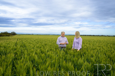 October 2022 / KANGAROO-FLAT-0868