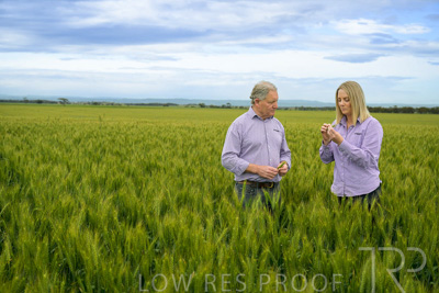 October 2022 / KANGAROO-FLAT-0877