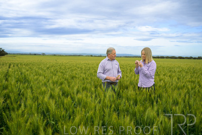 October 2022 / KANGAROO-FLAT-0880