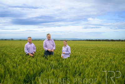 October 2022 / KANGAROO-FLAT-0895