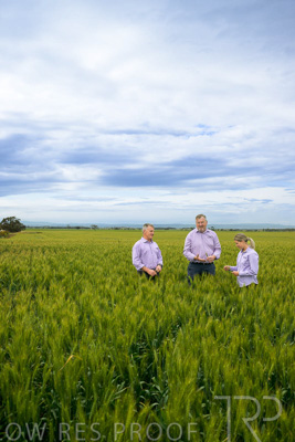 October 2022 / KANGAROO-FLAT-0901