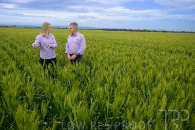 October 2022 / KANGAROO-FLAT-0924