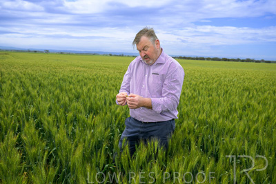 October 2022 / KANGAROO-FLAT-0935