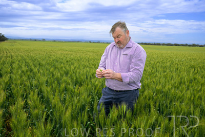 October 2022 / KANGAROO-FLAT-0936