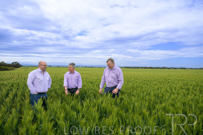 October 2022 / KANGAROO-FLAT-0953