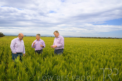 October 2022 / KANGAROO-FLAT-0963